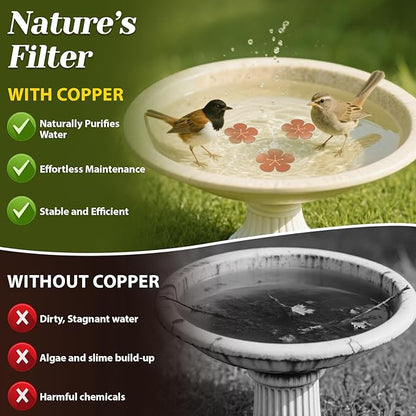 3Pcs Bird Bath Copper Purification Disk 99.99% Pure Copper Water Cleaning Discs - Image 4