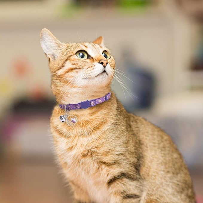 PUPTECK Cat Collar Breakaway - Image 6