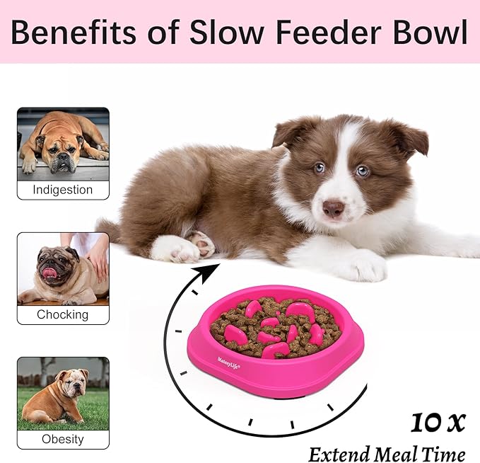 MateeyLife Small Slow Feeder Cat Bowls, Anti-Choking Puzzle Cat Food Bowls - Image 2