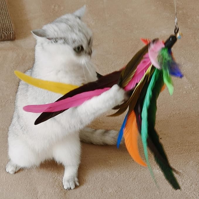 miwoowim Da Bird Feather Refill - Image 3