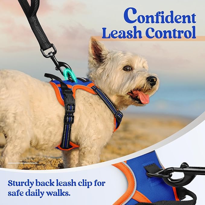 rabbitgoo Dog Harness No Pull - Image 6