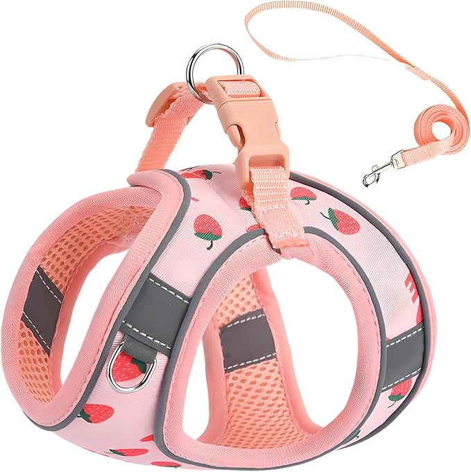 Step in Dog Harness and Leash Set, Flower Adjustable Easy Walk Puppy Harnesses by Flymind