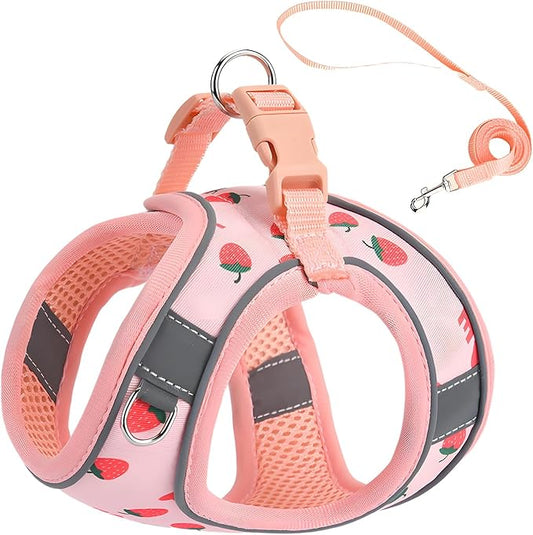 Step in Dog Harness and Leash Set, Flower Adjustable Easy Walk Puppy Harnesses by Flymind
