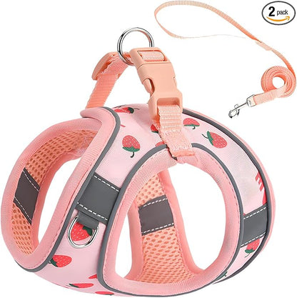 Step in Dog Harness and Leash Set, Flower Adjustable Easy Walk Puppy Harnesses by Flymind