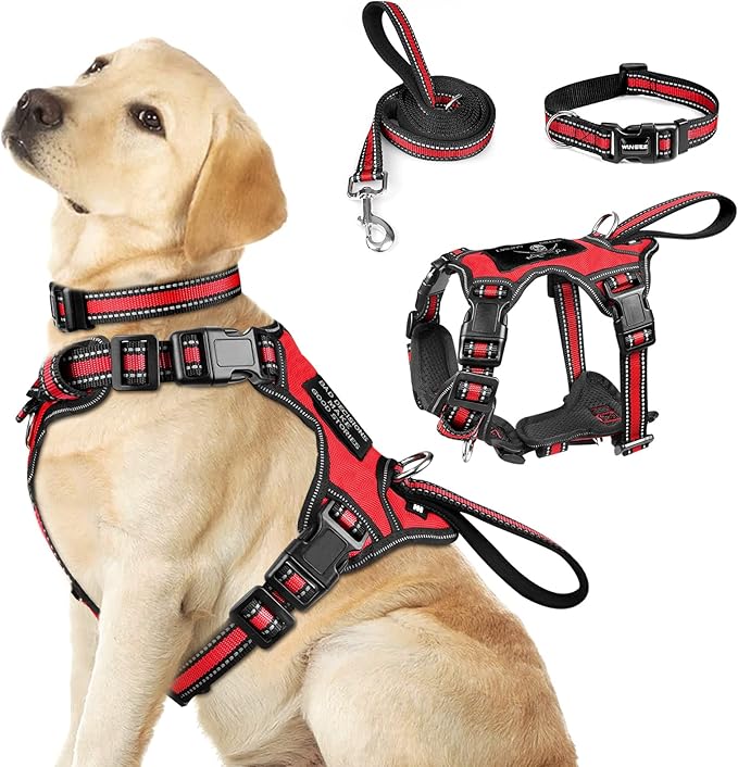 WINSEE Pet Harness Collar and Leash Set, All-in-one Reflective Dog Harness No by WINSEE