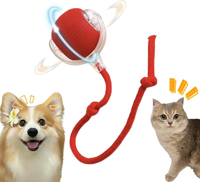 Interactive Cat Toy, Electric DogBall Toy, Cat Toys by Unknown
