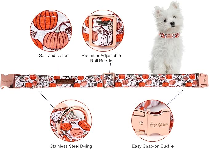 Unique style paws Dog Collar Metal Buckle Collar - Image 2