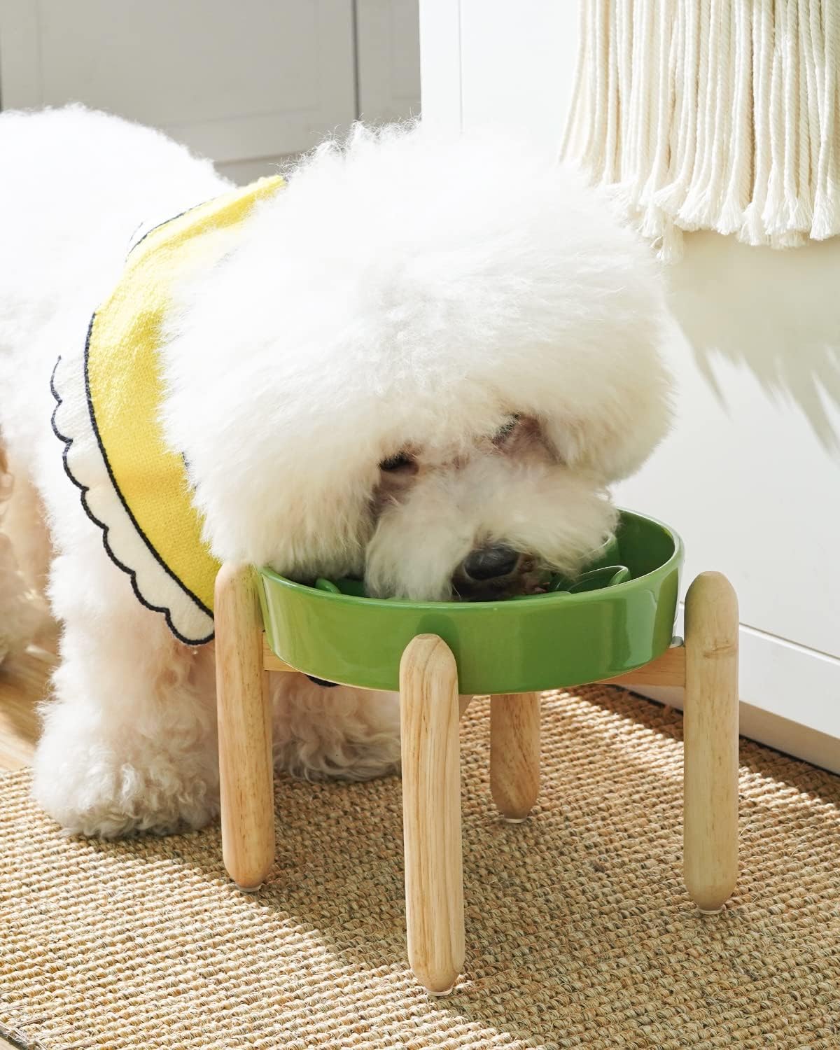 LE TAUCI Ceramic Slow Feeder Dog Bowls Elevated for Small and Medium Breed, Dog Bowls with Wooden Stand, 1.5 Cups Pet Dishes to Slow Down Eating, Anti-Gulping Pet Feeding Dishes, Clover Green