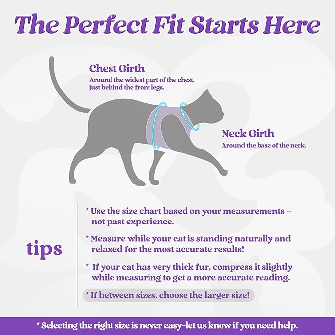 rabbitgoo Cat Harness and Leash, Step-in Escape Proof Kitten Harness Set - Image 2