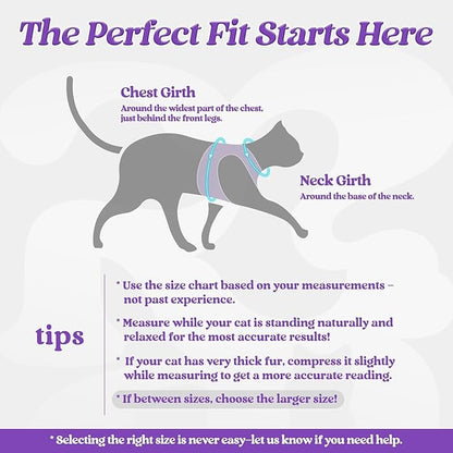 rabbitgoo Cat Harness and Leash, Step-in Escape Proof Kitten Harness Set - Image 2