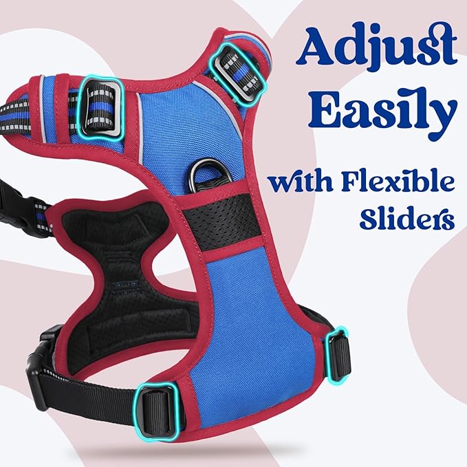 rabbitgoo Dog Harness for Large, No Pull Easy On & Off - Image 3