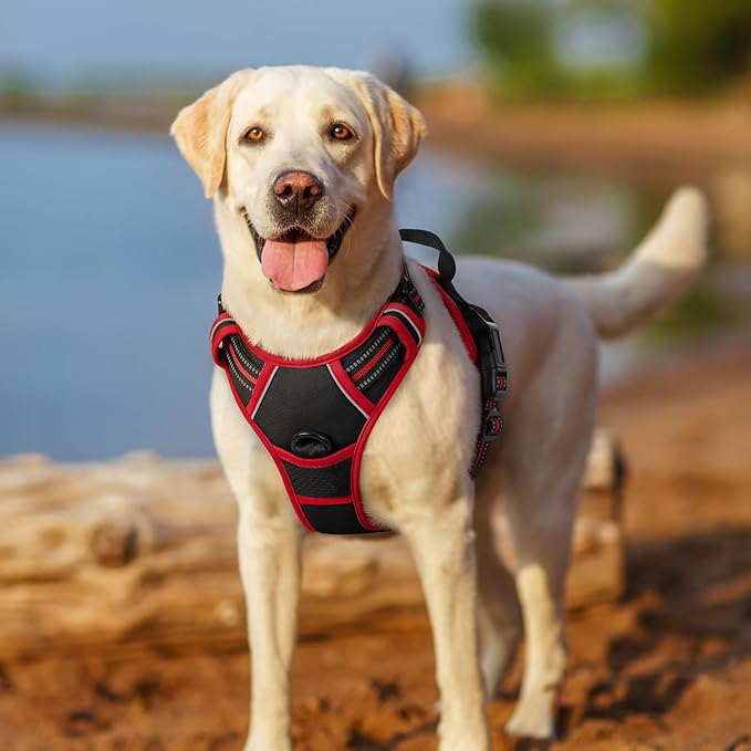 rabbitgoo Dog Harness No Pull - Image 7