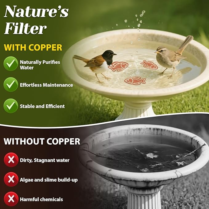 3Pcs Bird Bath Copper Purification Disk 99.99% Pure Copper Water Cleaning Discs - Image 4