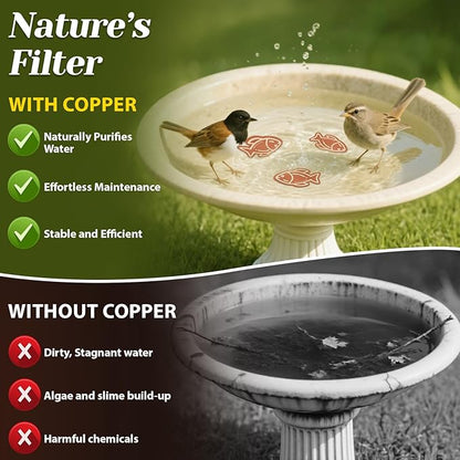 3Pcs Bird Bath Copper Purification Disk 99.99% Pure Copper Water Cleaning Discs - Image 4