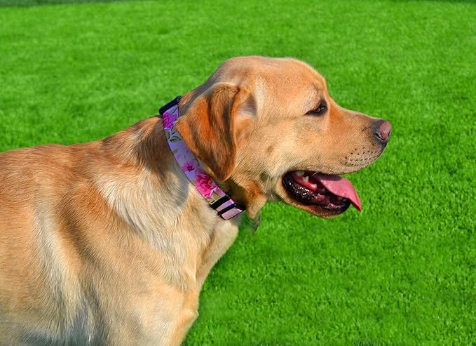 Mihqy Dog Collar with Bohemia Floral Tribal Geometric Patterns - Image 5