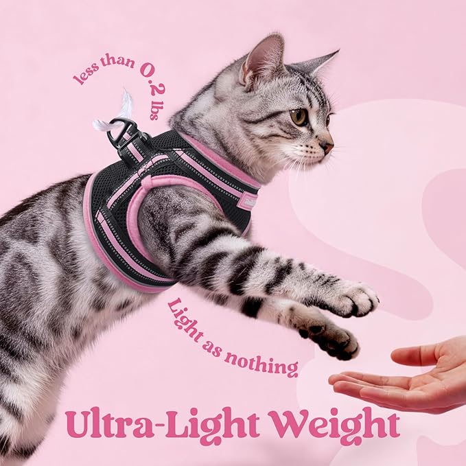 rabbitgoo Cat Harness and Leash, Step-in Escape Proof Kitten Harness Set - Image 6
