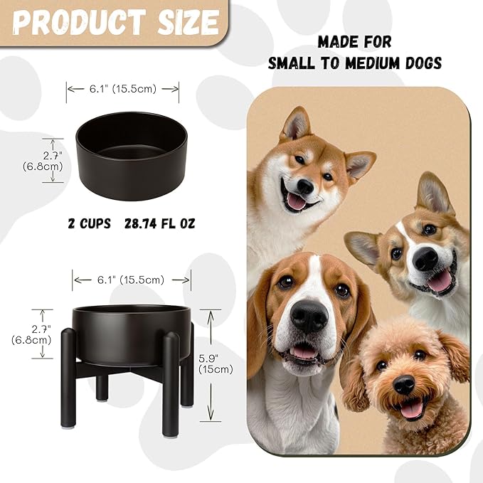 Raised Ceramic Dog Bowl, 6.1'' Modern Feeding Bowl - Image 2