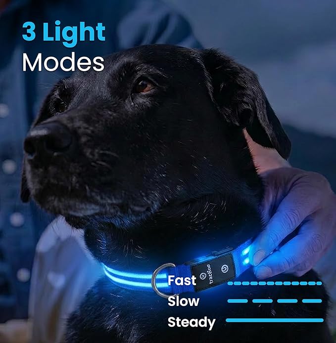 Tractive Smart Dog GPS Collar | Live Pet Tracker - Image 8