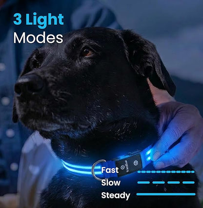 Tractive Smart Dog GPS Collar | Live Pet Tracker - Image 8
