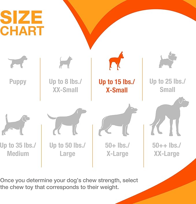 Nylabone New Puppy Power Chew Stages, Soothing Puppy Teething Toys, Chew Bones - Image 7