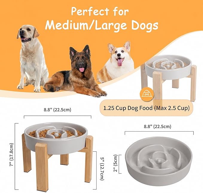 Elevated Slow Feeder Dog Bowl Large Breed, 8.8 Inch Ceramic Slow Eating Bowl - Image 2