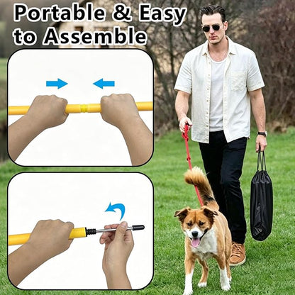 Dog Agility Weave Poles Set, 6-Piece Durable Slalom Weave Poles - Image 3