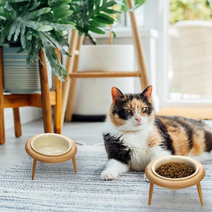 DEAYOU Ceramic Cat Bowl Adjustable, Tilted Elevated Raised Pet Dish, No Spill - Image 7