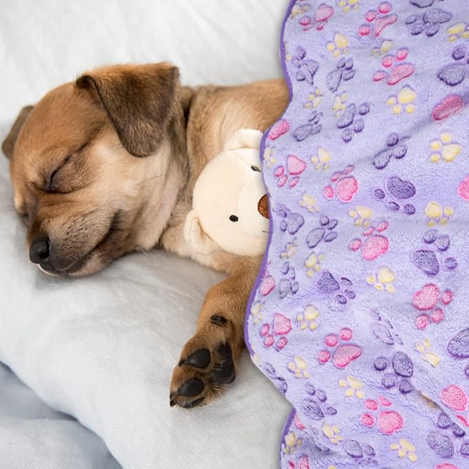 Dono 1 Pack 3 Dog Blankets, Soft Fluffy Fleece Pet Blanket Warm Sleep Mat Paw - Image 6