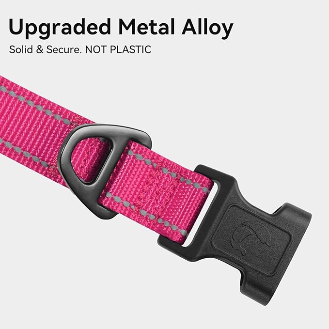 Joytale Reflective Dog Collar, Soft Neoprene Padded, Metal D-Ring, Nylon Pet - Image 3