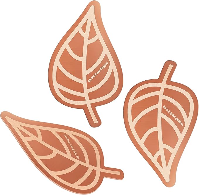 3Pcs Bird Bath Copper Purification Disk 99.99% Pure Copper Water Cleaning Discs by Conderyang