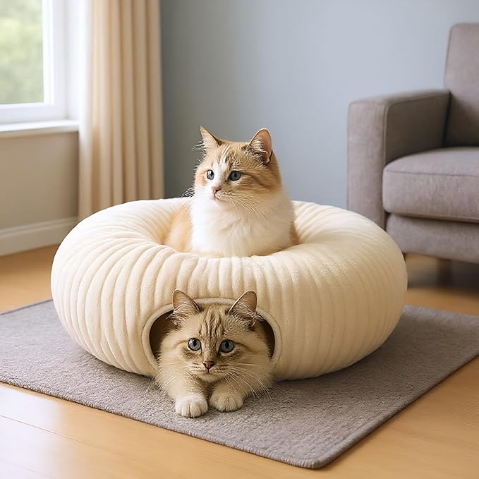 31 Pcs Interactive Cat Toys for Indoor Cats, Cat Tunnel - Image 9