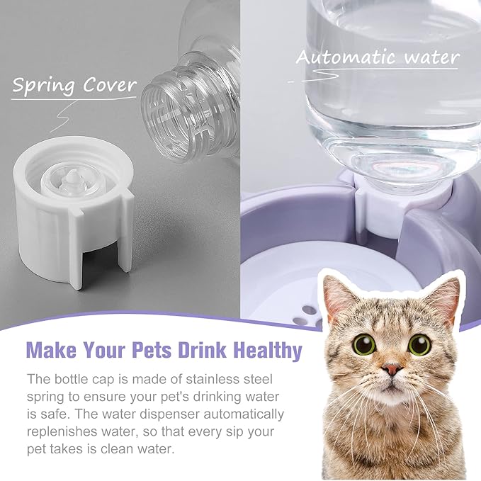Double Dog Cat Bowls, Cat Food and Water Bowl Set - Image 4