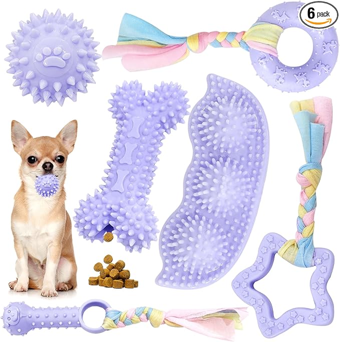 Petcare 6 Pack Puppy Teething Toys, Cute Purple Small Dog Chew Toys by PETCARE