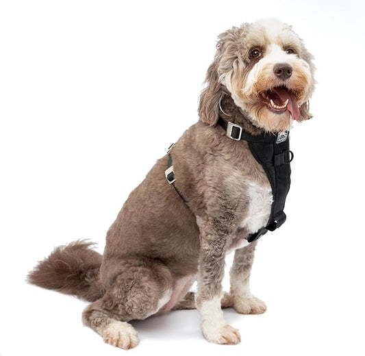 Kurgo Enhanced Strength Tru-Fit Dog Car Harness by Kurgo