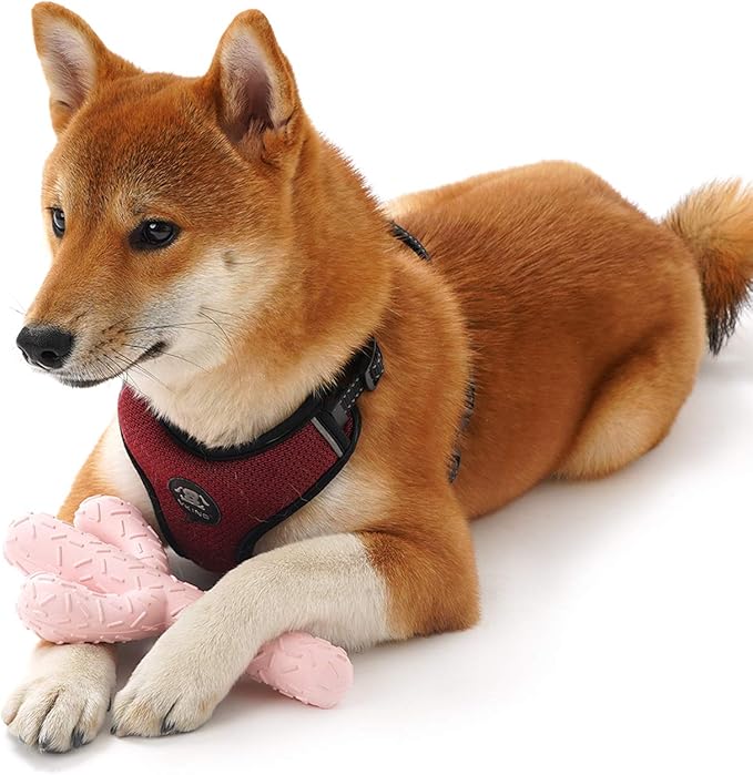 MewaJump Dog Chew Toys, Tough Rubber Dog Toys - Image 7