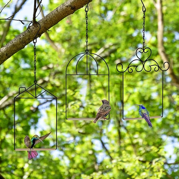 Metal Frame Hummingbird Swings and Perches - Image 5