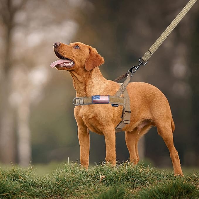 Annchwool No Pull Dog Harness - Image 6