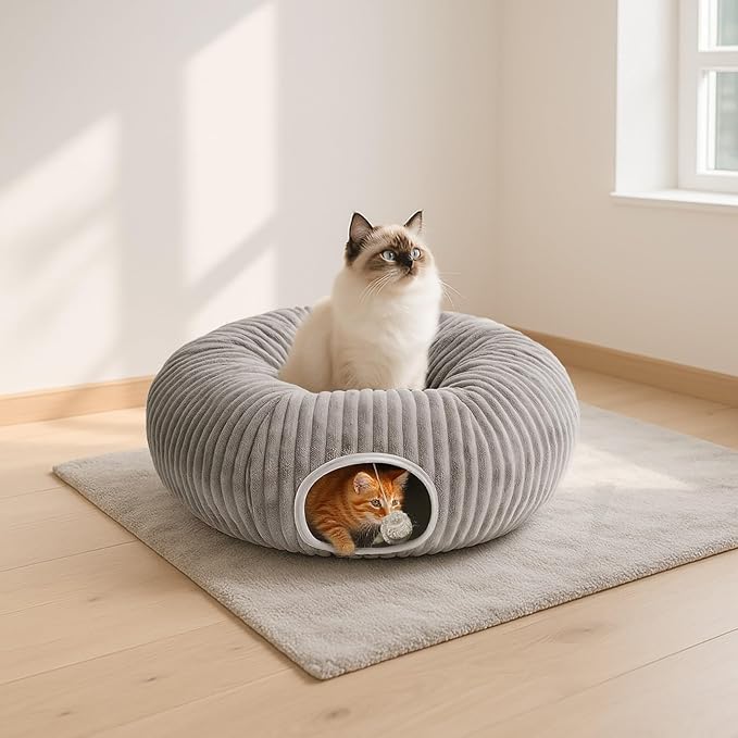 31 Pcs Interactive Cat Toys for Indoor Cats, Cat Tunnel - Image 9
