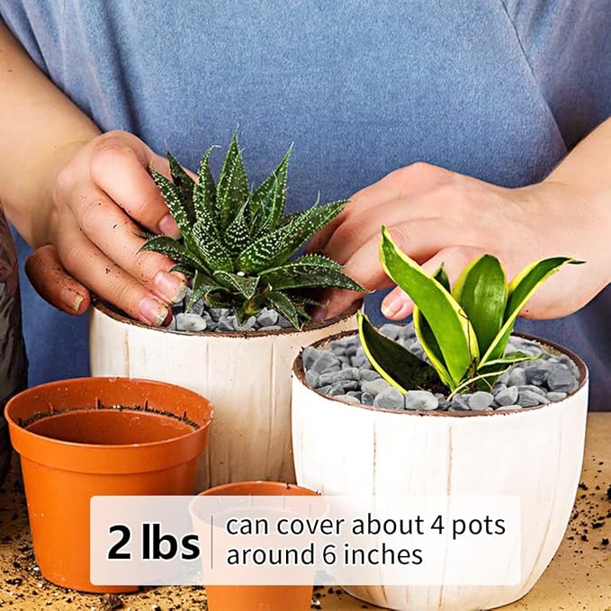 YISZM 2LB Succulent and Cactus Gravel Pebbles, 1/5 Inch Natural Decorative - Image 4