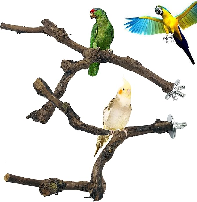 2 PCS Natural Grape Stick Fork Bird Perch Bird Standing Stick Chewing Bird Toys - Image 6