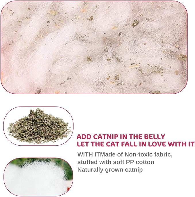 Legendog 5Pcs Catnip Toy, Cat Chew Toy Bite Resistant Catnip Toys - Image 5