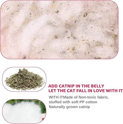 Legendog 5Pcs Catnip Toy, Cat Chew Toy Bite Resistant Catnip Toys - Image 5