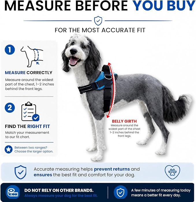 ShawnCo Essential Dog Harness, No-Pull Pet Vest - Image 6