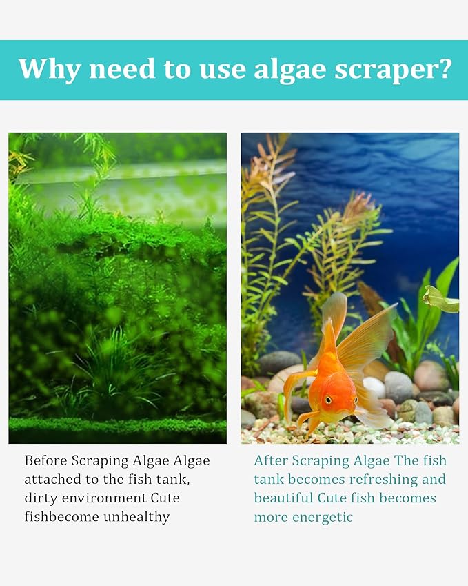 Stainless Steel Algae Scraper Aquarium Cleaning Tool - Image 2