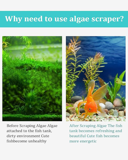 Stainless Steel Algae Scraper Aquarium Cleaning Tool - Image 2