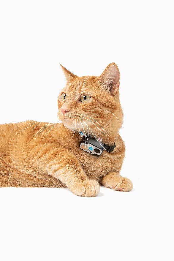 Genuine MS-5® Designer Cat Collar - Image 3