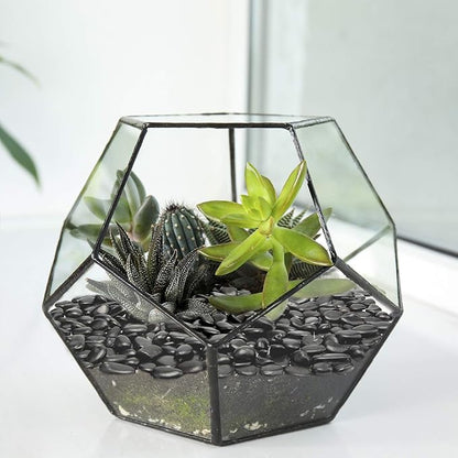 Black Small Decorative Pebbles - Image 4