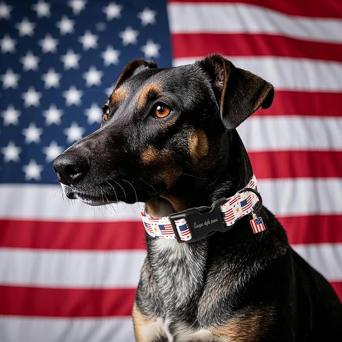 Unique style paws Dog Collar Plastic Buckle - Image 5