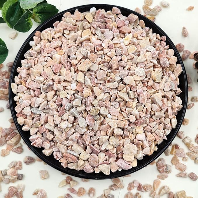 YISZM 10LB Succulent and Cactus Gravel Pebbles, 1/5 Inch Natural Decorative by YISZM-ForYourNaturalLife