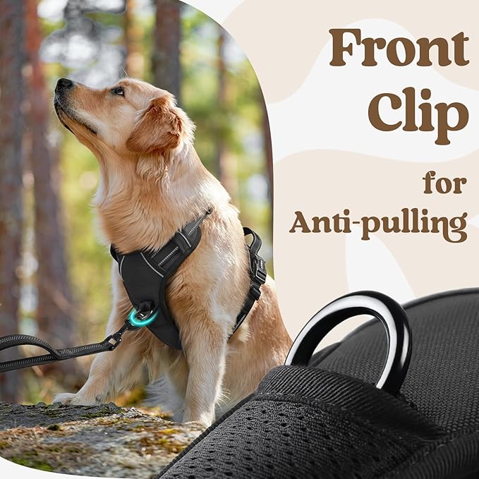 rabbitgoo Dog Harness for Large, No Pull Easy On & Off - Image 6